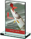 Glass Trophy Luxorjet Color Print