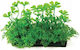 Aqua Natura Plant Decorațiune Acvariu Plantă Artificială Verde Plastic 10 Cm Trifoi