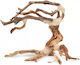 Bonsai Sinking Tree No 24 25x20