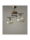 Stewehome Pendant Ceiling Light Poyraz 2 Pieces Metal Brown Body Honey Glass 40x80x37cm