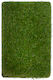 Biokarpet Sole Grass 50mm-200x100
