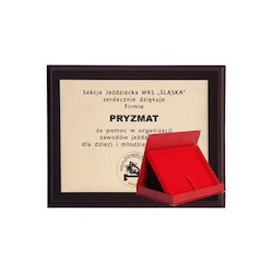 Tryumf Gold Sports Board