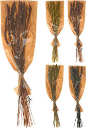 Dry Twigs Dry Twigs