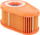 Genuine Briggs Stratton Air Filter 1006-1008 792038