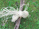Natural Raffia 50 G
