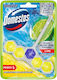 Domestos Block Λεκάνης