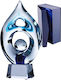Glass Trophy Case