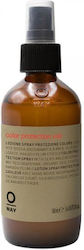 Oway Spray Θερμοπροστασίας Μαλλιών για Ενίσχυση & Διάρκεια Χρώματος 160ml Oway Spray Θερμοπροστασίας Μαλλιών για Ενίσχυση & Διάρκεια Χρώματος 160ml