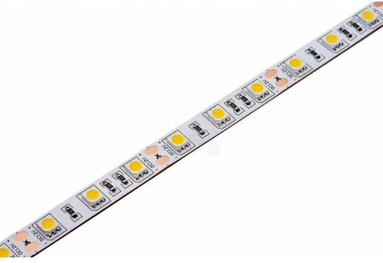 Jager Ταινία LED 24V Ρυθμιζόμενο Λευκό Φως 5m
