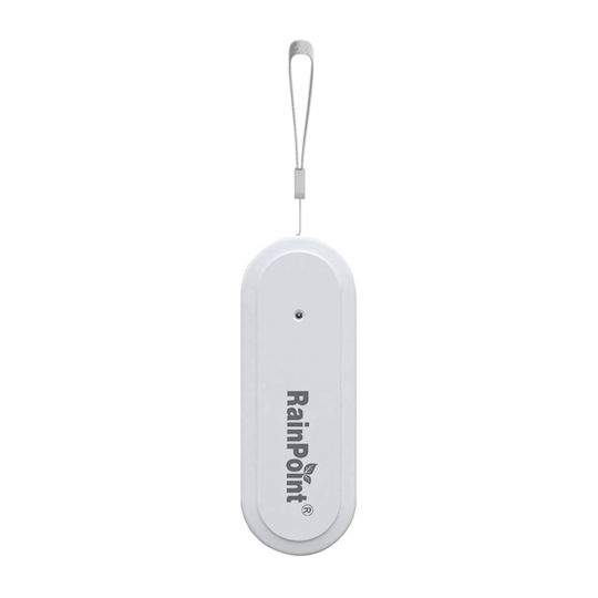 RainPoint Temperatursensoren & Feuchtigkeitssensoren Batterien RF