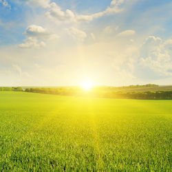Аромат Sunwashed 1 литър