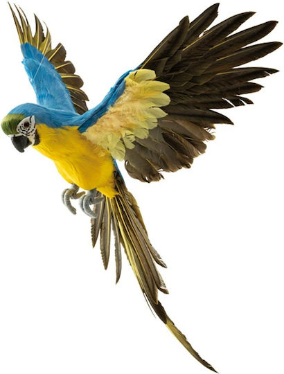Decorative Parrot Open Wings Blue-Yellow 56x53cm 157.003.0107.16