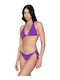 Bikini Triangle Cyclamen