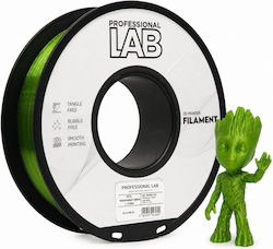 Filament Petg Imprimantă 3d Profesional Lab 1 Kg 1.75 Mm Verde Transparent