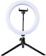 Ringlicht LED 20cm Durchmesser Usb 3 Lichtmodi 10 Einstellungsstufen Handyhalterung