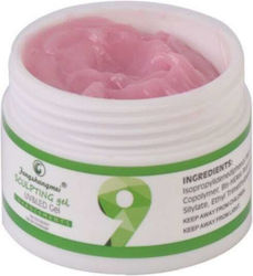 Fsm Gel Builder Nr 9