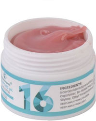 Fsm Gel Builder Nr 16