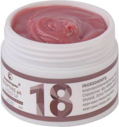 Fsm Gel Builder Nr 18