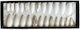 Set 24 Press-on False Nails Ballerina Glossy White Rhinestones