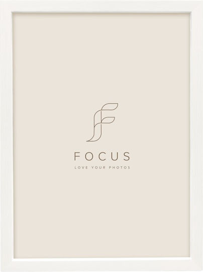 Focus Willow Focus Willow