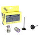 Set Supape Admisie Oțel Prox + Arcuri KX250F '09-10