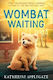Wombat Waiting Katherine Applegate Harpercollins