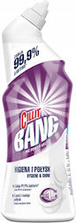 Reckitt Gel Καθαρισμού Λεκάνης 750ml Reckitt Gel Καθαρισμού Λεκάνης 750ml