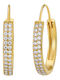 Earring Hoop Nn-s221 Gold