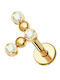 Silver And More Titanium Gold Plated Earrings with Stones