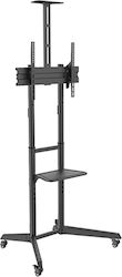 Brateck T1040T Стенна Стойка За Телевизор До 70" и 50kg Черна