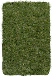 Biokarpet Sole Gazon Artificial 20mm 200x200 Biokarpet Sole Gazon Artificial 20mm 200x200