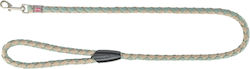 Trixie Dog Leash/Lead Strap Cavo in Beige Colour