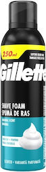Gillette Classic Gillette Classic