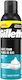 Gillette Classic Shaving Foam 250ml
