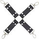 APH BDSM Accessory