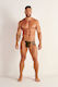 WOH Herren Sexy String Grün