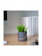 Ghiveci De Flori Din Plastic Decorativ Coș 18 Cm 3 Modele Depozitare Plante Decor Interior