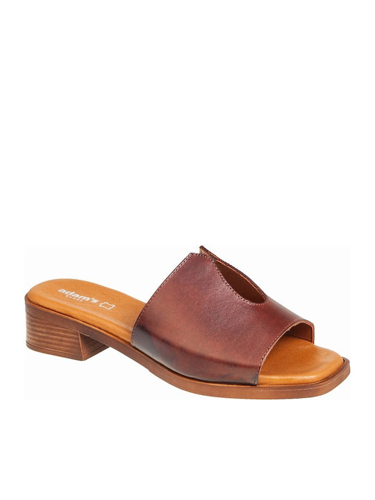 Adam's Shoes