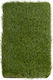 Biokarpet Sole Grass Eco 38mm-400x1000