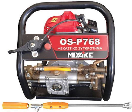 Miyake Benzin Sprühkomplex 1hp 25bar