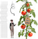 Kadax Spiral Plant Stake Aluminum 150 Cm 10 Pcs