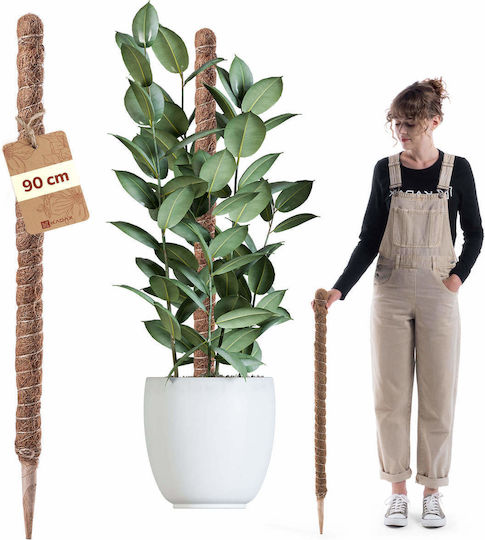 Kadax Coconut Plant Stake Pot Support 90 Cm 1 Pc