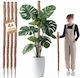 Kadax Suport Pentru Plante Cocos Suport Ghiveci 120 Cm 4 Bucăți