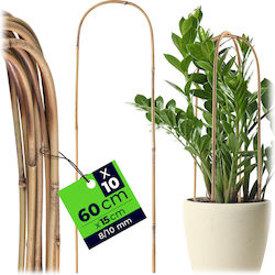 Kadax Bambus Pflanzenspieße 60 x 15 cm 10 Stück