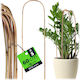 Kadax Bamboo Arch Support 60 X 15 Cm 5 Pcs