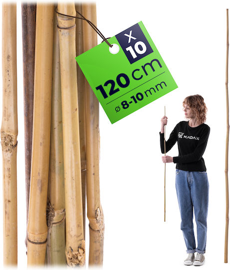Kadax Araci Din Bambus Pentru Grădină 120 Cm X 8–10 Mm 10 Bucăți
