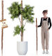 Kadax Coconut Plant Stake Pot Support 150 Cm 1 Pc