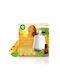 Reckitt LED Ultraschall Aromatherapie-Diffusor mit Timer Grüne 20ml