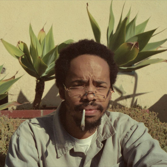 Earl Sweatshirt Live Laugh Love 1 Vinyl