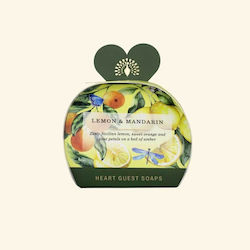 The English Soap Company Soap Bars with Glycerin 3x20g The English Soap Company Soap Bars with Glycerin 3x20g